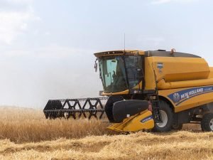 image-1656946026_untitled-1