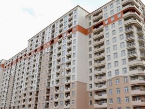 image-1657780463_646e2033733e9f821c1e4e41d27002d6untitled-1-jpg