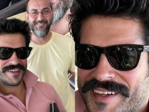 image-245114_12qhnn66xm