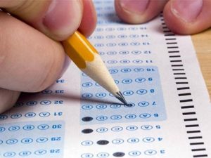 image-16554765335239264523_1000x669