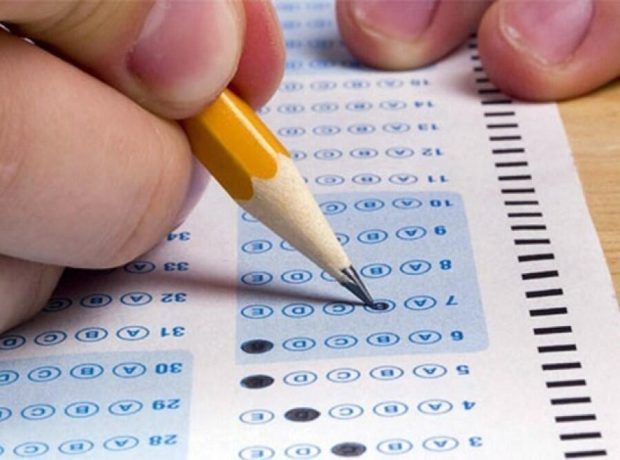 image-16554765335239264523_1000x669