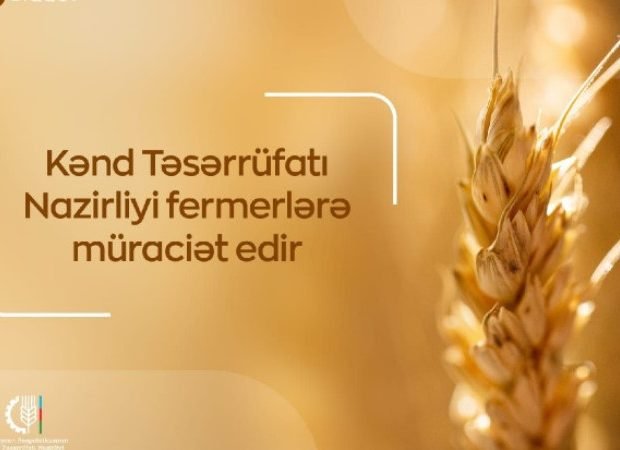 image-1660310447_zsiclcbhvzhrtq19gbrf99nzgpzoatw9knsouheb