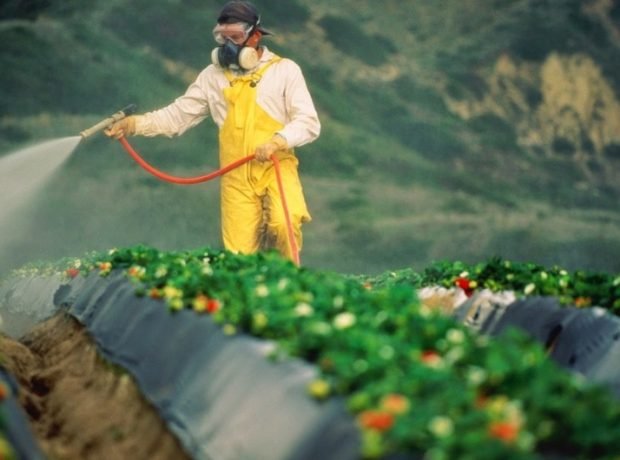 image-36e2836d-c3e0-3bd3-b6a4-2304e24c36b0_850