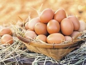 image-399d1260179d68193bed373b5524fd77