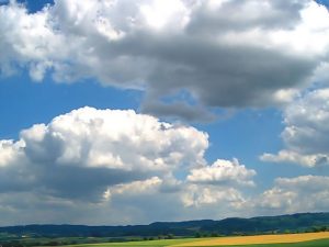image-538dd10d-1bb3-4dff-ae4c-62bbb8675c3e_824