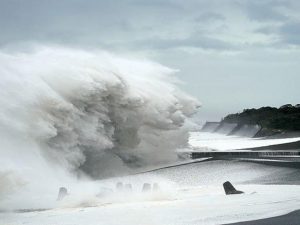 image-8d4877e3-dfca-3780-95c8-b5aa6cc9645e_850