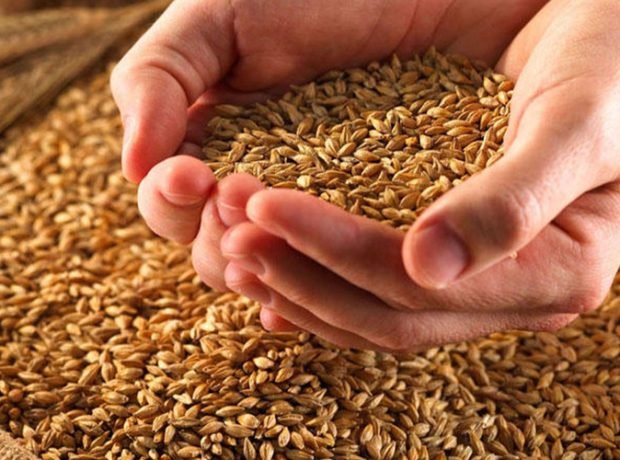 image-8e31c7ef81518af267271db640ba535f