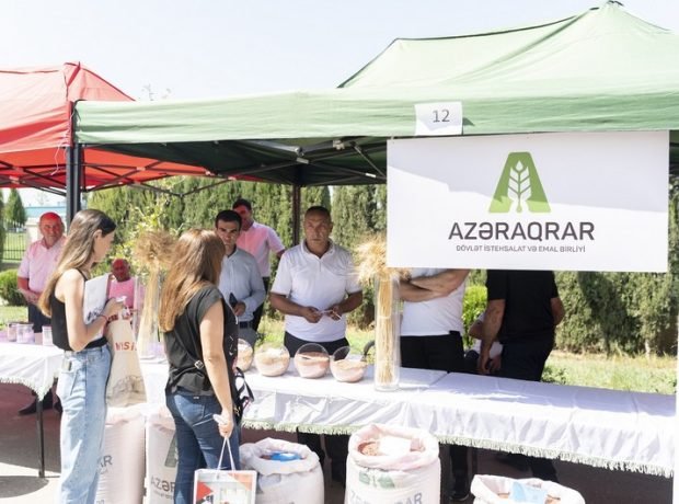 image-9255689a-9c03-3b10-9490-319a63995411_850