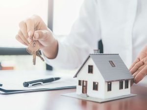 image-b45e0c27-a7a9-3b64-a8ff-20d862448fc8_850