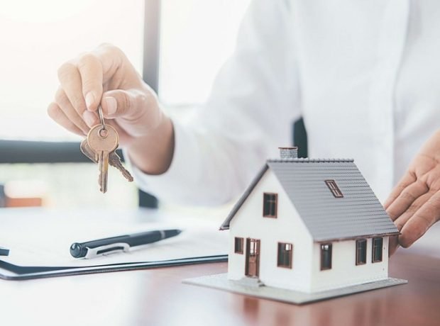 image-b45e0c27-a7a9-3b64-a8ff-20d862448fc8_850