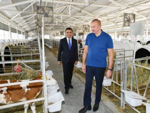 image-fotojet-2022-08-12t173931-033