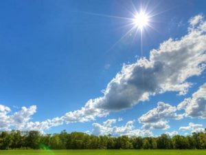 image-hava