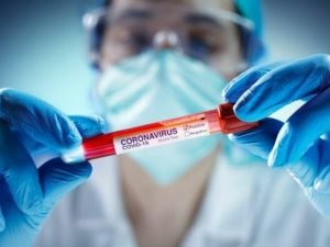 image-koronavirus-covid