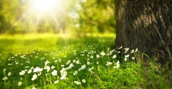 image-makedonyada_bol_gunesli_hava_sicakliklar_26_dereceye_cikacak_h9229