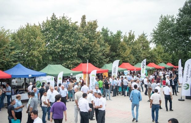 image-mycollages_-_2022-08-18t165631-551