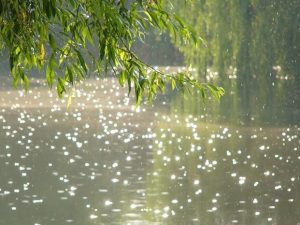 image-1594287087_photo_4340