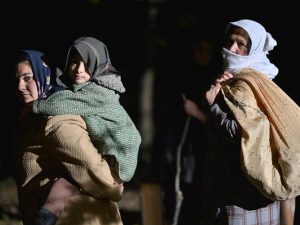 image-85fdf241edbe5a0343c3de44330bd11e