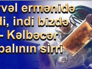 image-9d7b4751f20febd0410572385f81693b