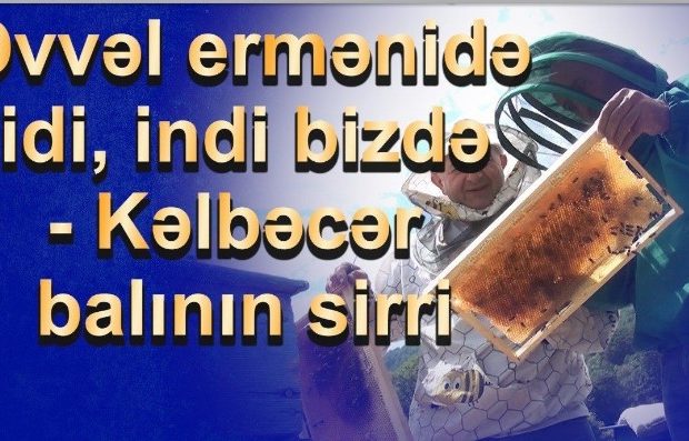 image-9d7b4751f20febd0410572385f81693b