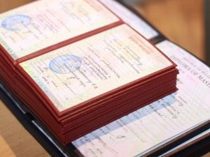 image-1664612646_untitled-1