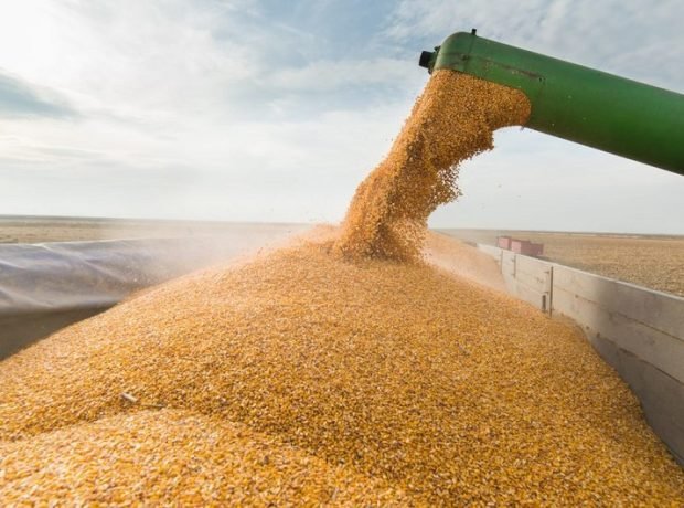 image-b83ed920-5a31-321a-8ffe-61cc2b0749b9_850