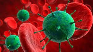 image-bez-nazvaniya-1