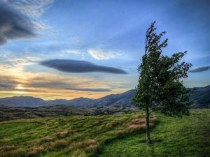 image-hava-5487