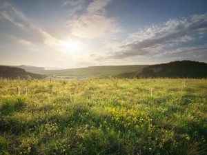image-hava