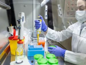 image-koronavirus