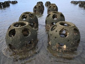 image-scientists-hope-reef-b