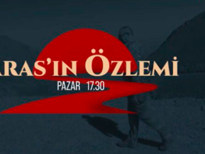 image-1669054813_snimok-ekrana-2022-11-21-185640