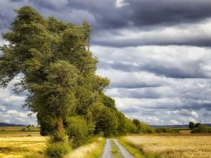 image-231c8f9b-01b4-30ce-bc66-154889a532b3_850