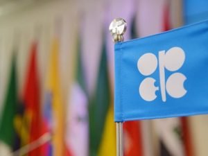 image-315525075_592626575527591_121513403293900090_n