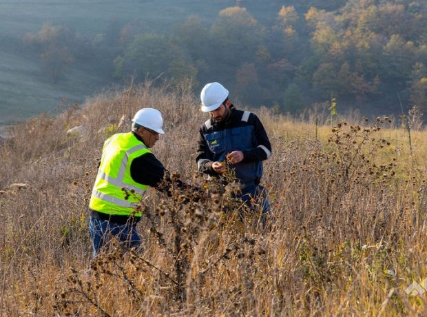 image-42f1e8bd-a8db-3e00-8c73-8701d14364d0_850