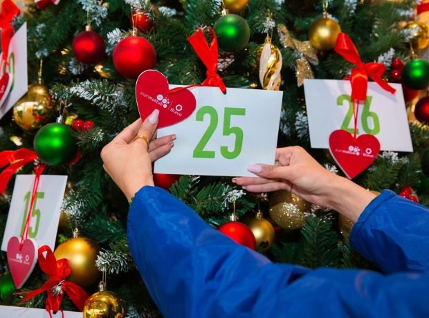 image-6f30caa4-c2b8-4d22-9274-78c9d7b5c2e8