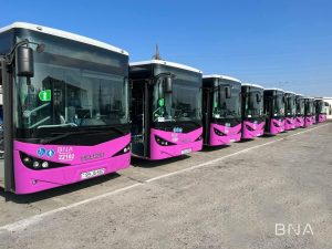 image-avtobus-bna