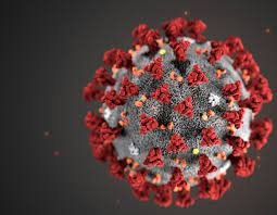 image-bez-nazvaniya-1