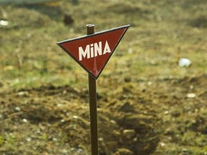 image-mina_0241