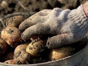 image-1537437326_1537437304_1535981747_40603780_288680058393799_2889861555338346496_n