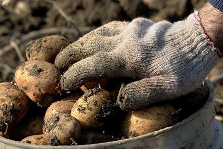 image-1537437326_1537437304_1535981747_40603780_288680058393799_2889861555338346496_n