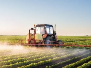 image-1670579704_1670577548_fz014nhrmazfhvfvig377bte93nlseqrqijvq0w8