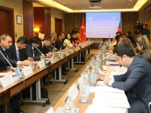 image-6565d599-8b36-41c0-bb62-219f803a10e0