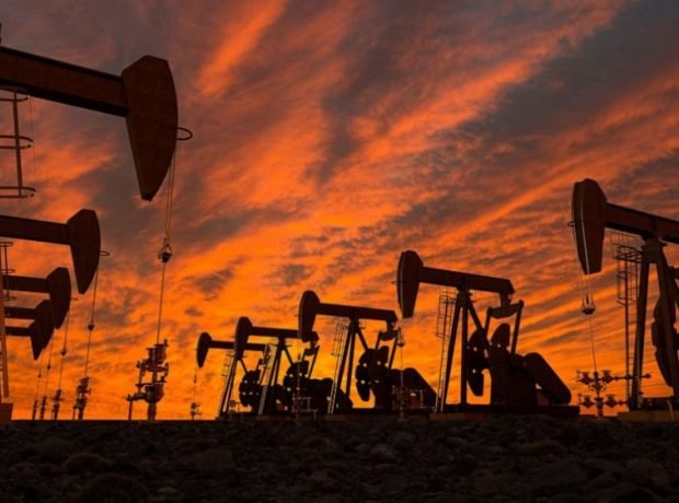 image-16341071056040933438_1000x669