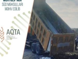 image-69a4463f-a26c-38c3-b40e-768938a72d58_850