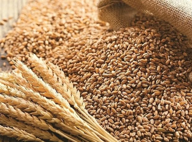 image-91eb25824e2bb3f66fc8044e95f24d12