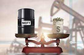 image-bez-nazvaniya-4