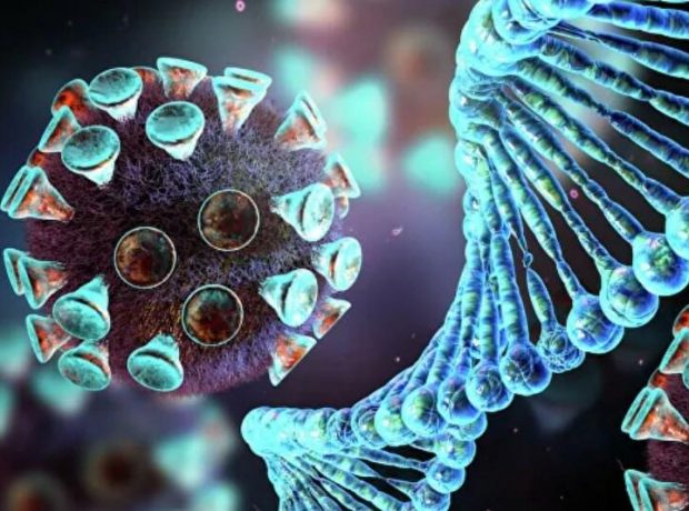 image-koronavirus