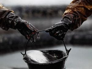 image-00d00398c407c32483ee360b119a40db