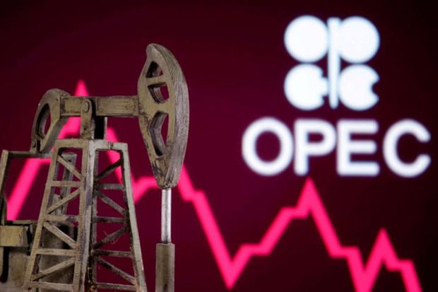 image-326392003_1353095068847944_3939571531449317871_n