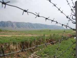 image-7e075f08-242f-3cbc-bde6-5ce50b0caf36_850